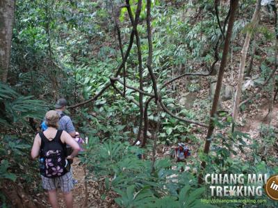 Photos from our guests | Chiang Mai Trekking | The best trekking in Chiang Mai with Piroon Nantaya